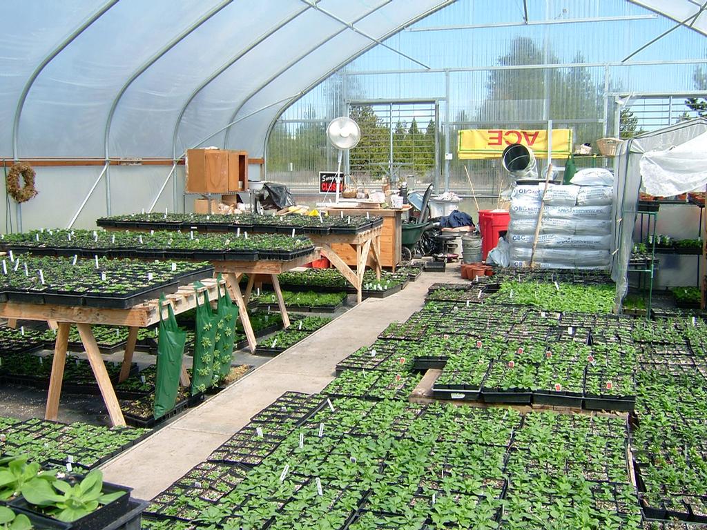 Little River Nursery La Pine OR 97739 5414206565 Nurseries